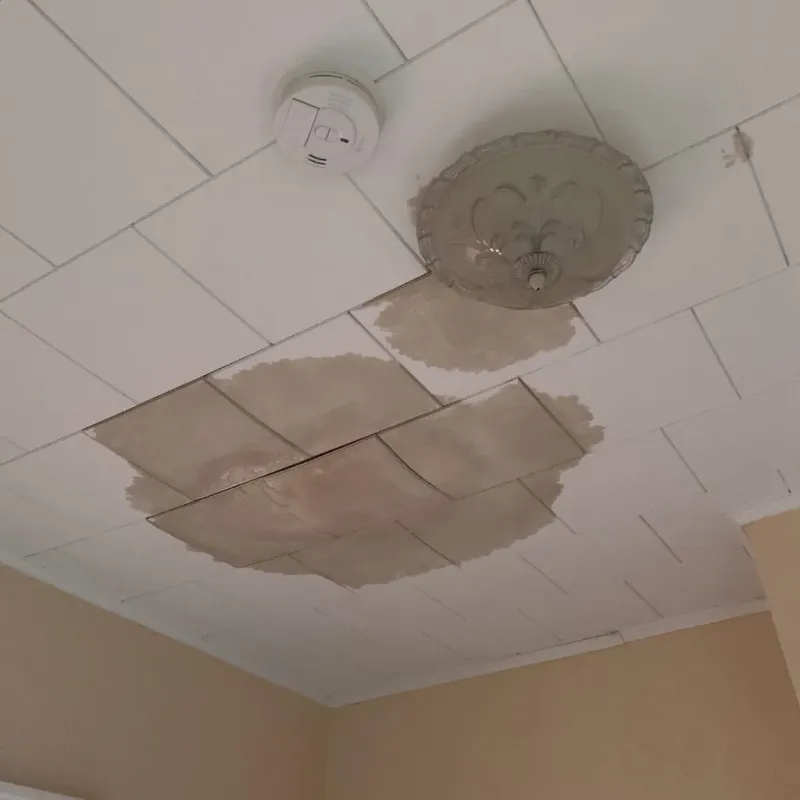 Ceiling Water Damage Repair in Charlotte County, VA