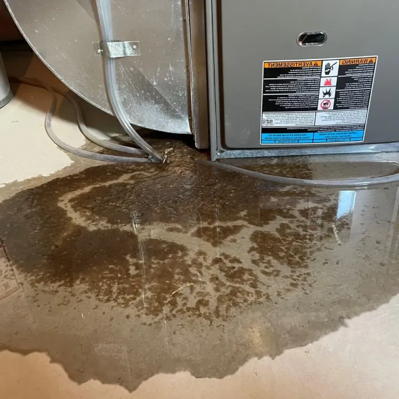 Pipe Burst and Leak Restoration in Charlotte County, VA