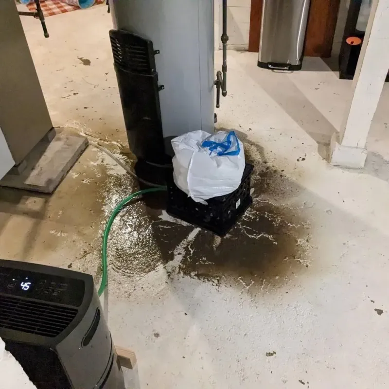 Sewage Backup Cleanup Service in Charlotte County, VA
